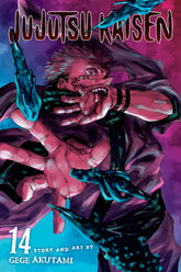 Jujutsu Kaisen Vol. 14 - Third Eye
