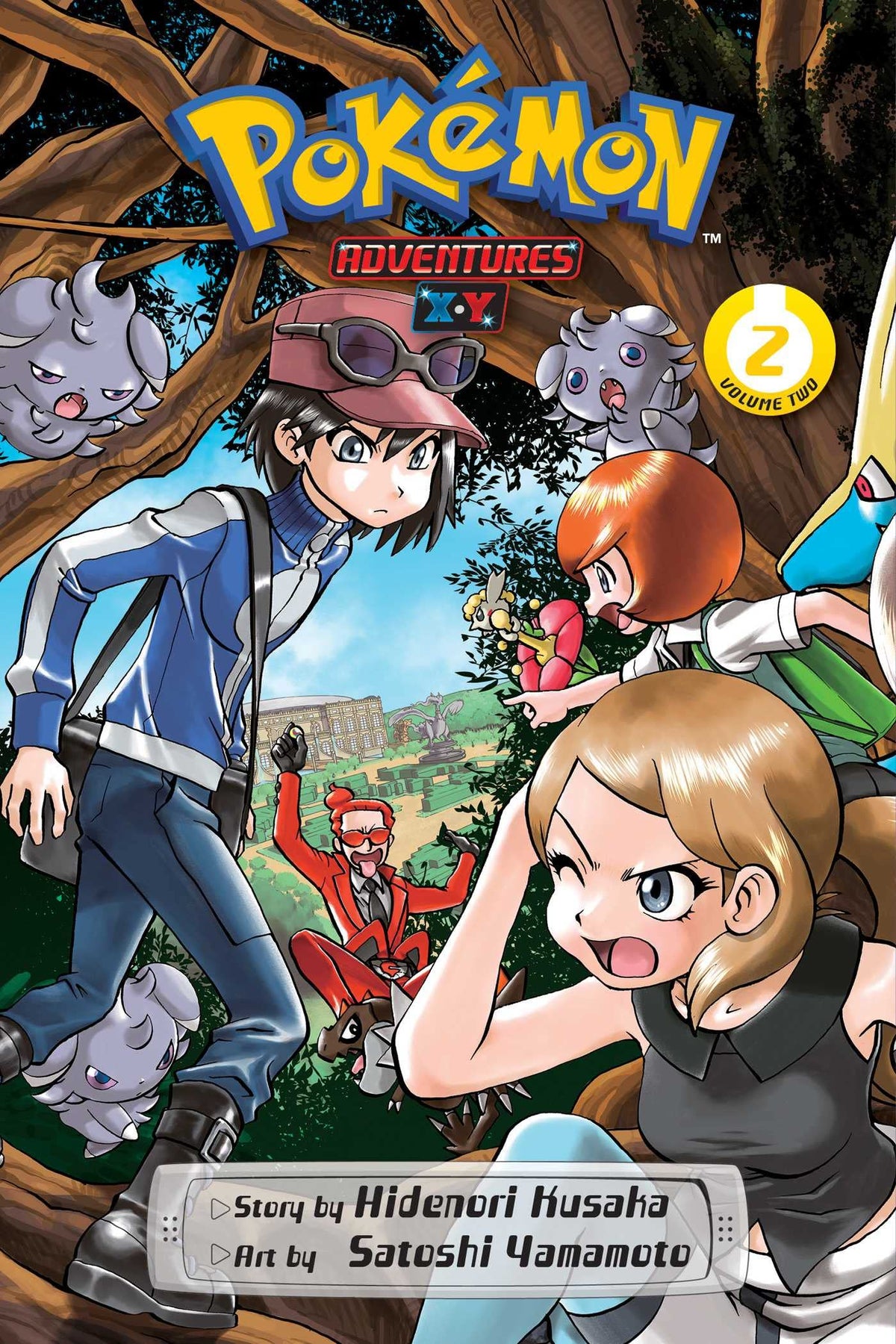 VIZ MEDIA LLC Manga Pokemon Adv X Y GN Vol 02 9781974726639 MAR222081