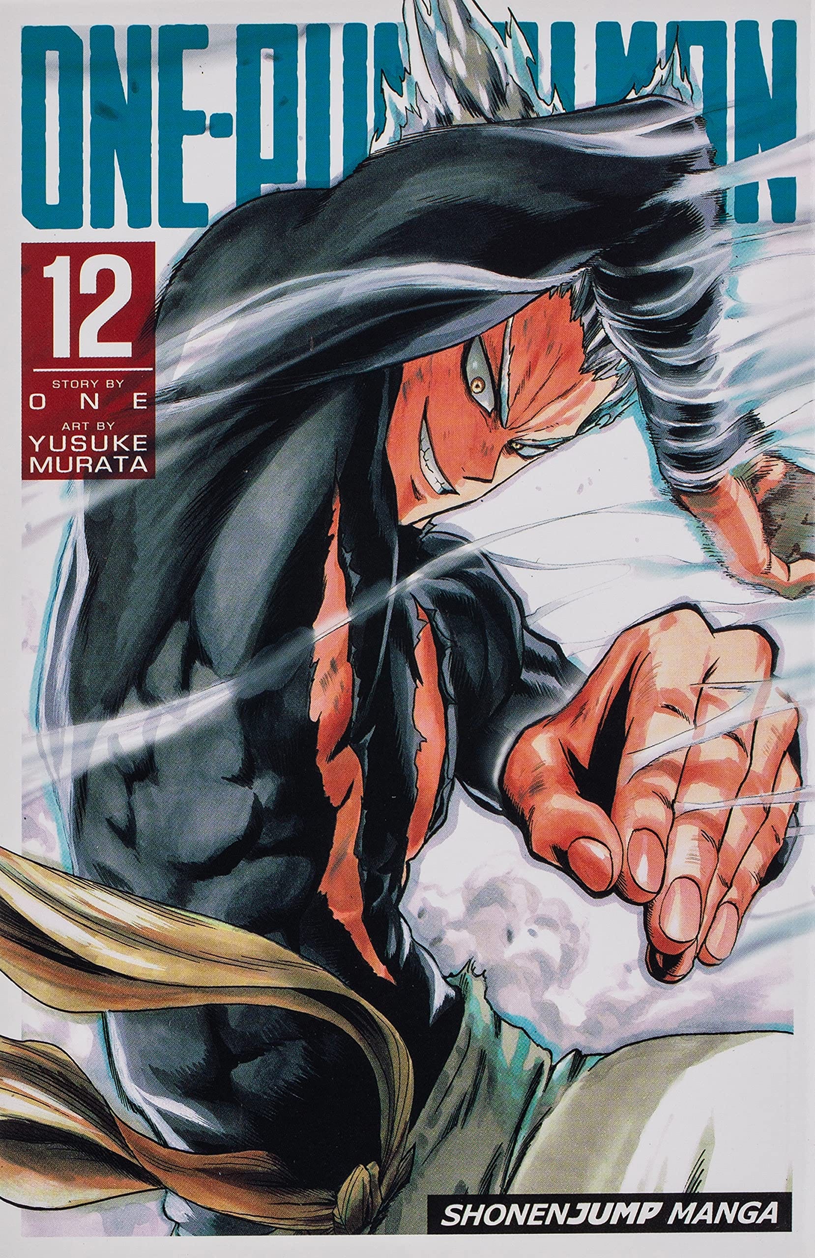 VIZ MEDIA LLC Manga One Punch Man GN Vol 12 9781421596204 JUL172299