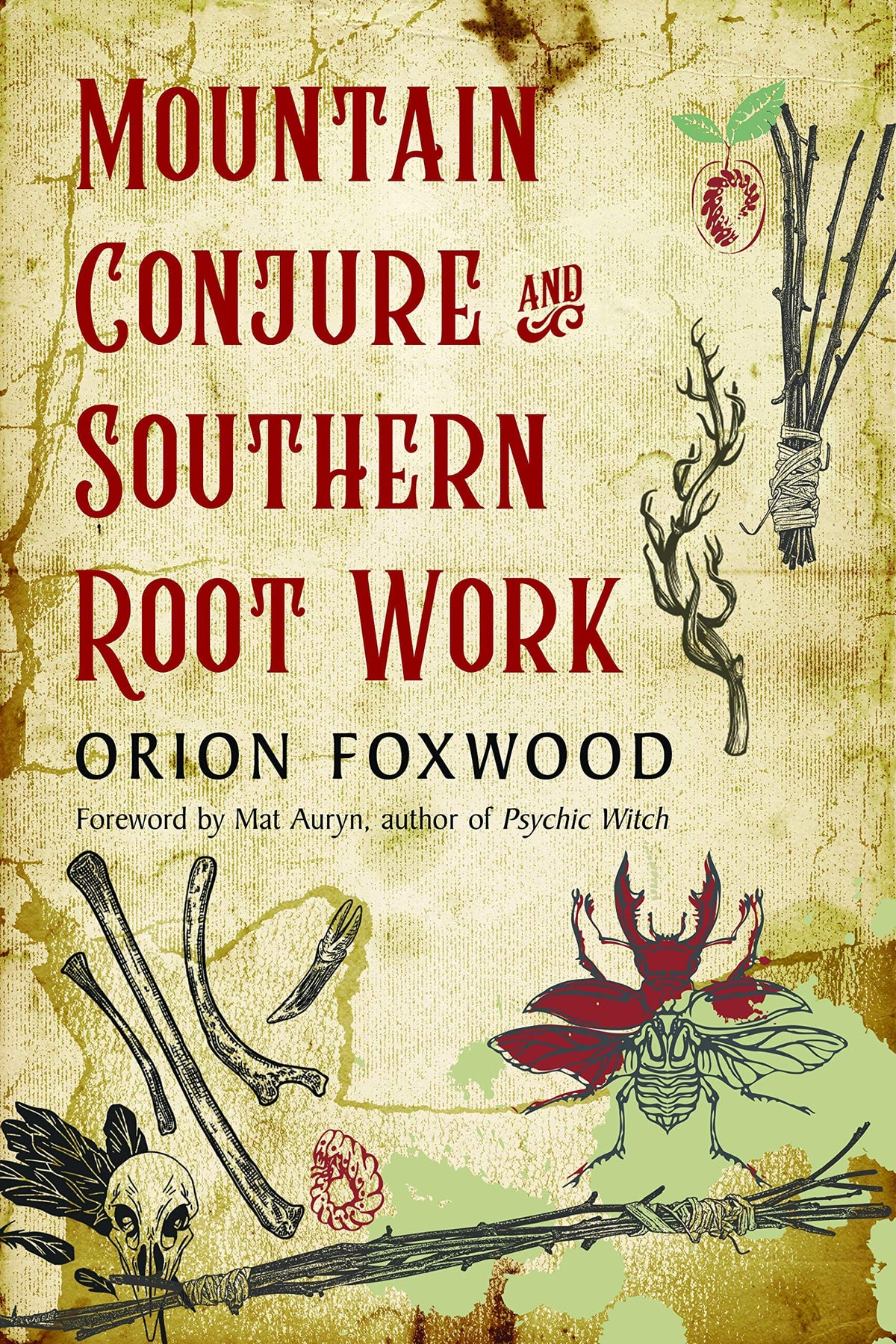 Weiser Books Books Mountain Conjure and Southern Root Work 9781578637362