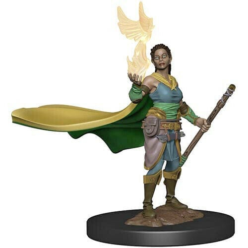 WizKids (Neca) Miniatures > WizKids Icons of the Realms: Elf Druid Female 634482738214