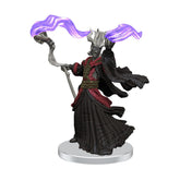 WizKids (Neca) Miniatures > WizKids Icons of the Realms: Tomb of Annihilation - Set 1 634482961506 WZK 96150
