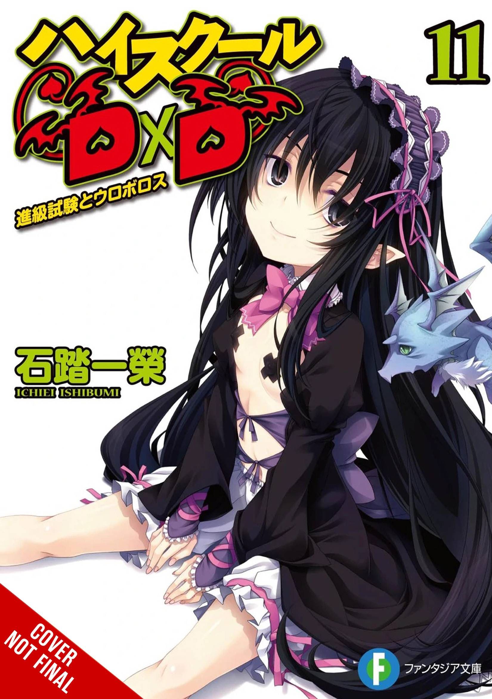 HIGH SCHOOL DXD LIGHT NOVEL SC VOL 11 - Third Eye