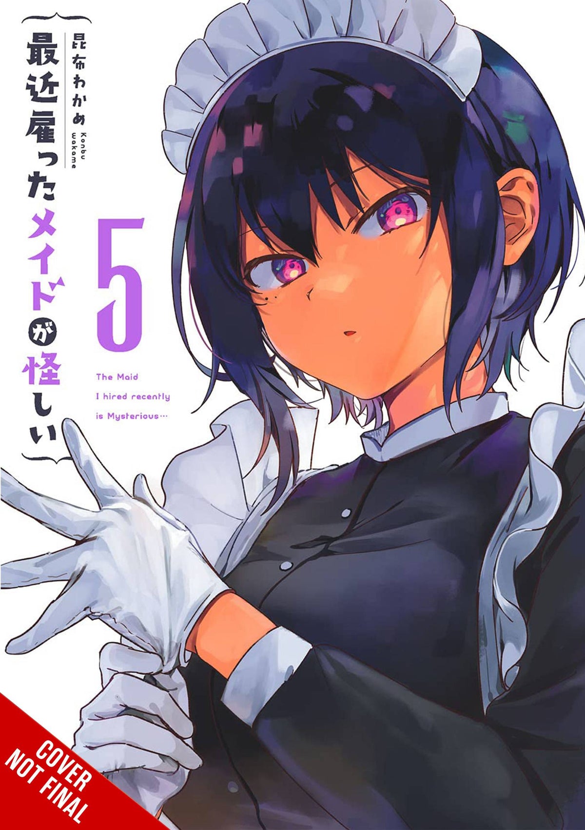 MAID I HIRED RECENTLY IS MYSTERIOUS GN VOL 05 - Third Eye