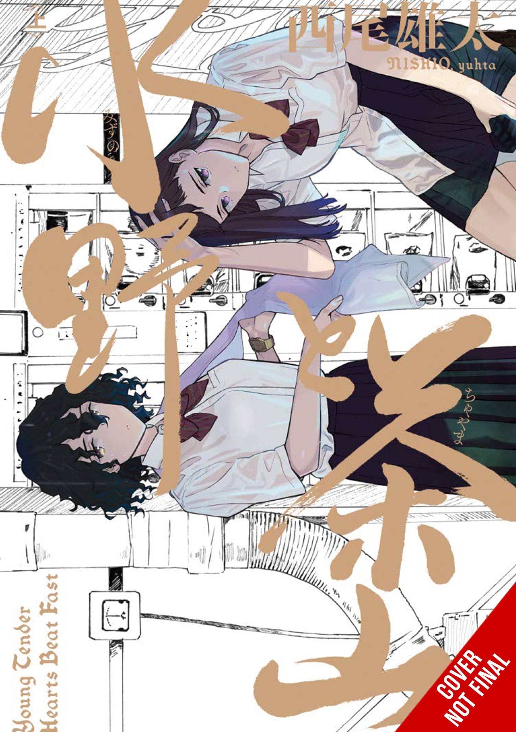 YEN PRESS Manga Mizuno & Chayama GN (MR) 9781975336233 JAN221812