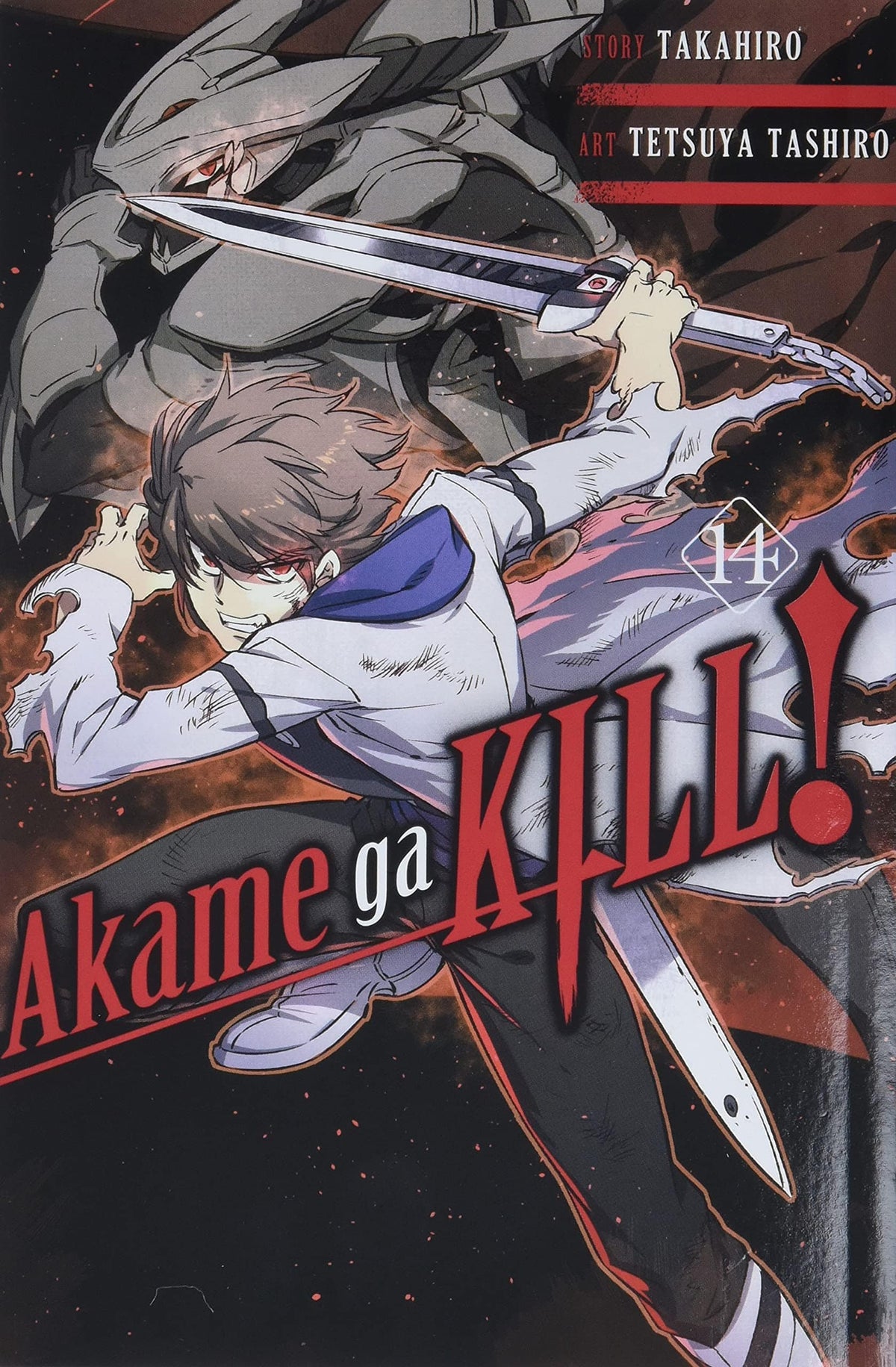 Akame ga Kill! Vol. 14 - Third Eye