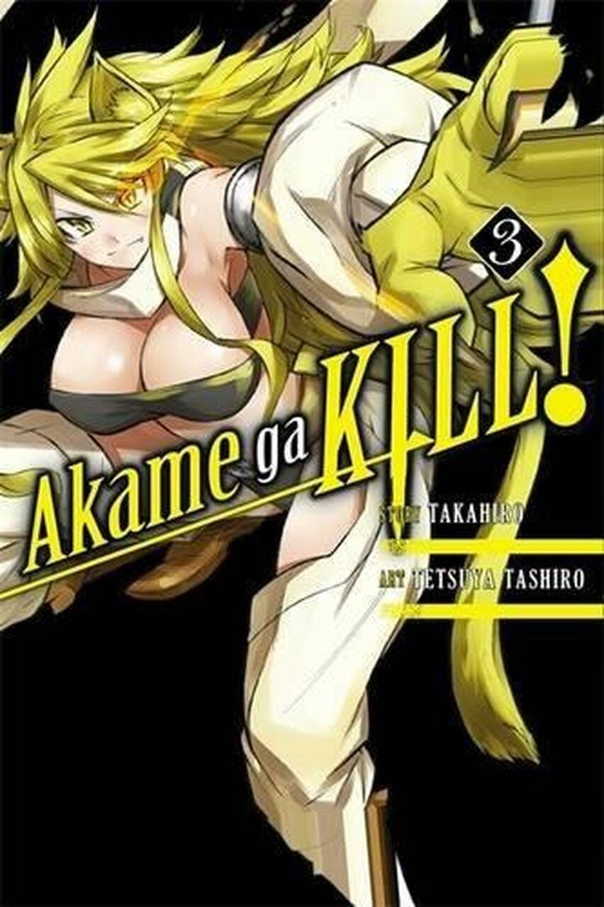 Akame ga Kill! Vol. 3 - Third Eye